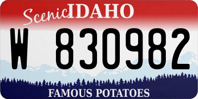 ID license plate W830982
