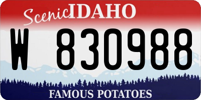 ID license plate W830988