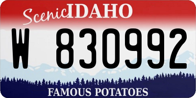 ID license plate W830992