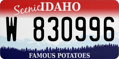ID license plate W830996