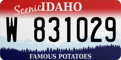 ID license plate W831029