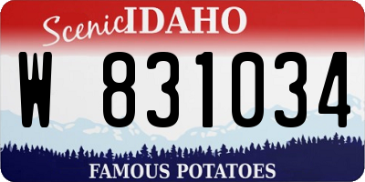 ID license plate W831034