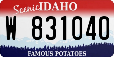 ID license plate W831040