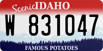ID license plate W831047