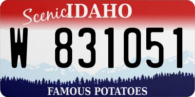 ID license plate W831051