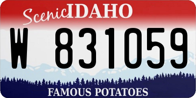 ID license plate W831059