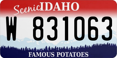 ID license plate W831063