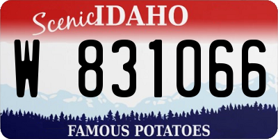 ID license plate W831066