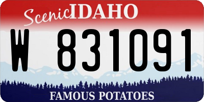 ID license plate W831091