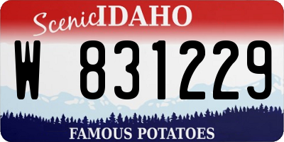 ID license plate W831229