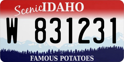 ID license plate W831231