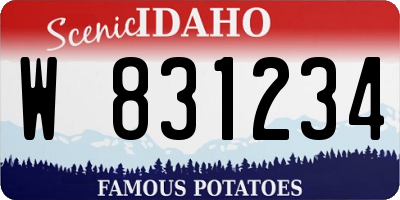 ID license plate W831234