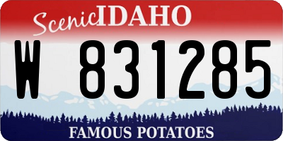 ID license plate W831285