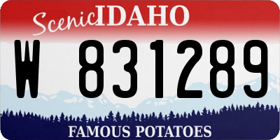 ID license plate W831289