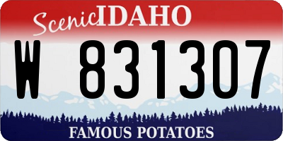 ID license plate W831307