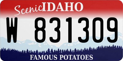 ID license plate W831309