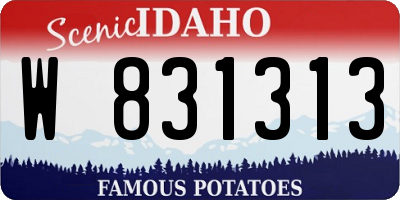 ID license plate W831313