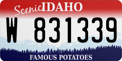 ID license plate W831339