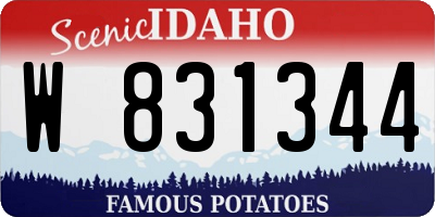 ID license plate W831344