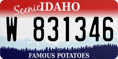 ID license plate W831346