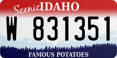 ID license plate W831351