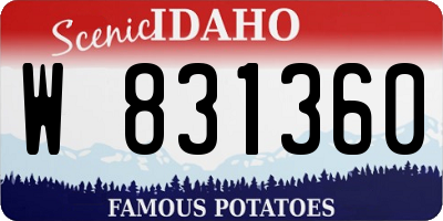 ID license plate W831360