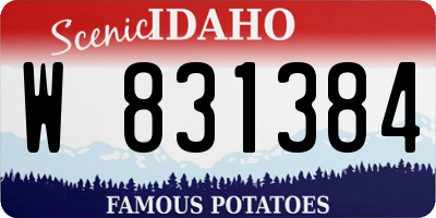 ID license plate W831384