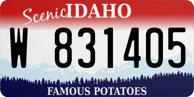 ID license plate W831405