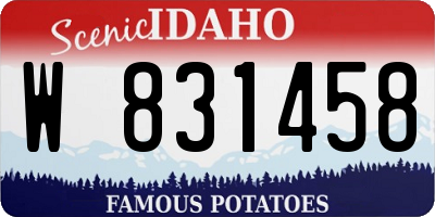 ID license plate W831458