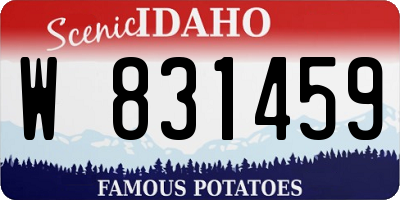 ID license plate W831459
