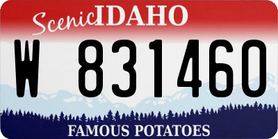 ID license plate W831460