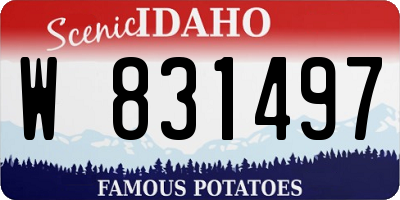 ID license plate W831497