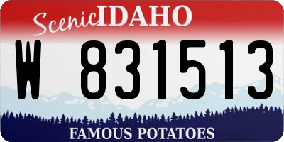 ID license plate W831513