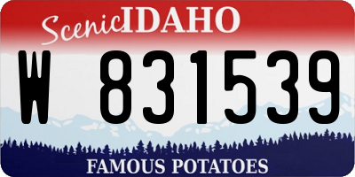 ID license plate W831539