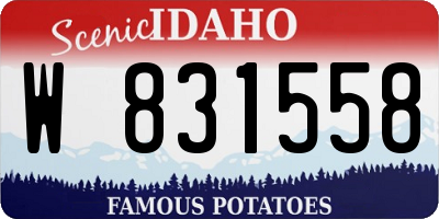 ID license plate W831558