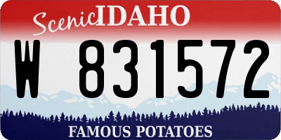 ID license plate W831572
