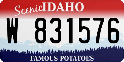 ID license plate W831576