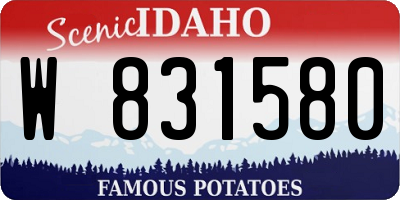 ID license plate W831580