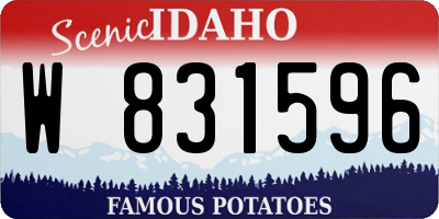 ID license plate W831596
