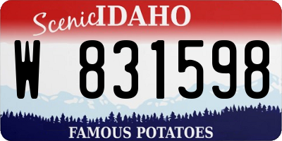 ID license plate W831598