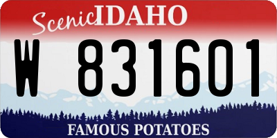 ID license plate W831601