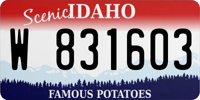 ID license plate W831603