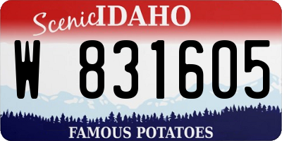 ID license plate W831605