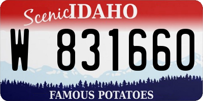 ID license plate W831660
