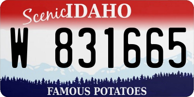 ID license plate W831665