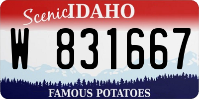 ID license plate W831667