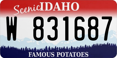 ID license plate W831687