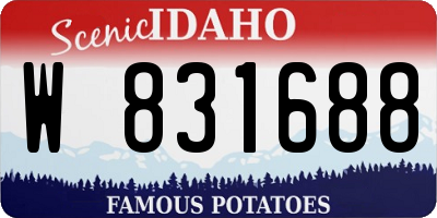 ID license plate W831688