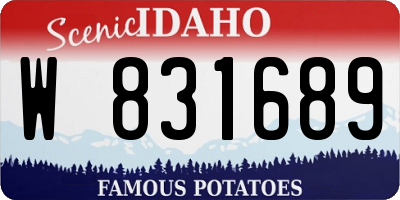 ID license plate W831689