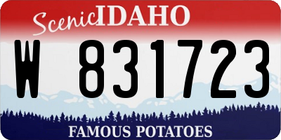 ID license plate W831723